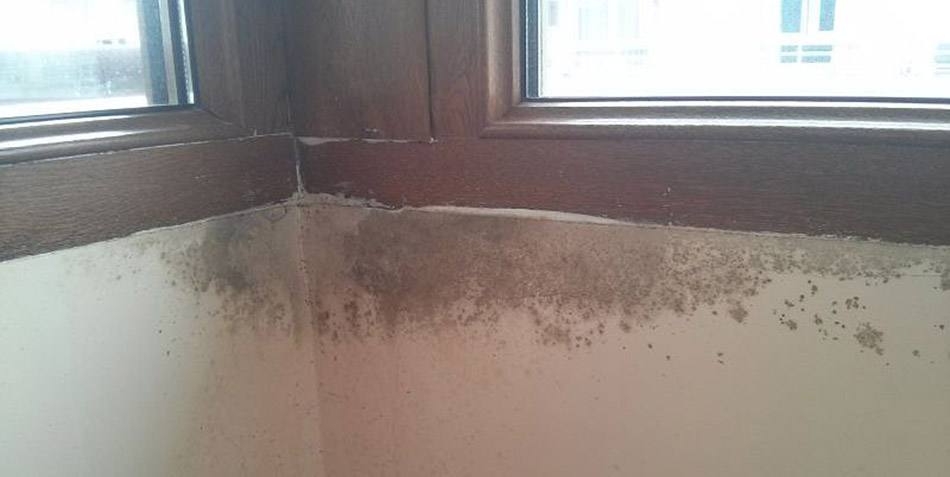 ¿Cambiar sus ventanas en un día? La importancia de la colocación en obra
