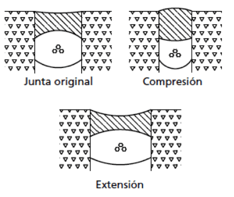 Extensión/Compresión