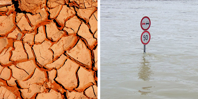 efectos cambio climático
